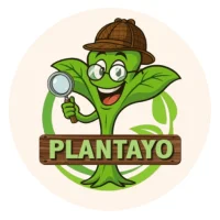 PlantaYo:Plant Care Identifier